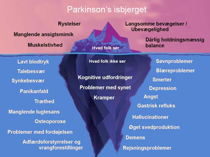 Turen fra karrieredyr til kronisk patient var svær 